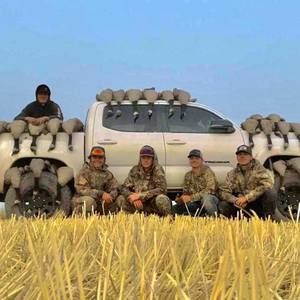 Meet your Posher, Peyton